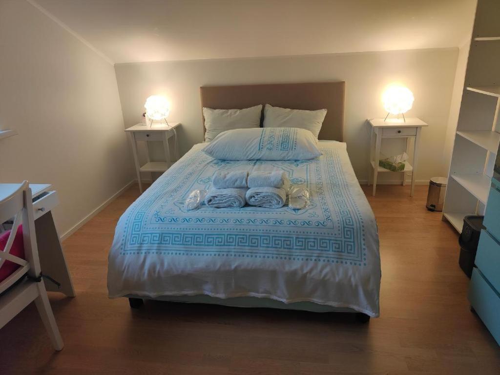 Chambre Zen Et Calme Bed & Breakfast Le Bouveret Екстериор снимка